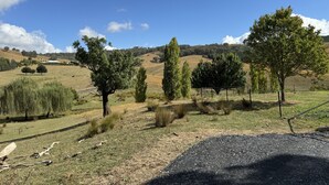 Un paysage rural caractérisé par des collines douces, des arbres dispersés et un ciel bleu clair.