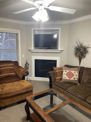 TV, fireplace