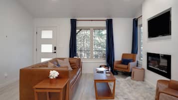 Smart TV, fireplace, books