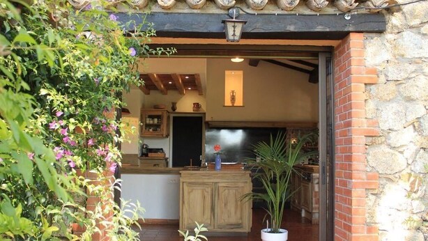 A rustic kitchen with wooden cabinets, a central island, and a potted plant.