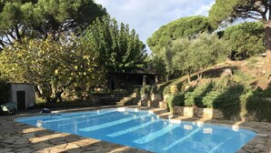 A swimming pool with stone tiles, surrounded by trees and a stone staircase.