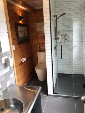 Un bagno moderno con parete in legno, un water, box doccia in vetro e lavandino in acciaio inossidabile.