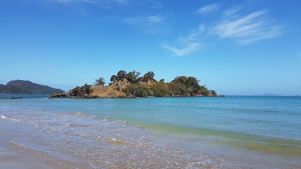 Ein Strand mit klarem Wasser, einem sandigen Ufer und einer kleinen Insel mit Bäumen.