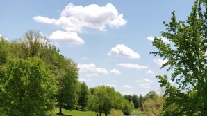 Un paisaje sereno con un estanque, árboles verdes exuberantes y un cielo despejado.