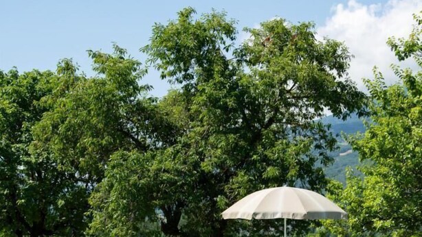 A poolside area with two lounge chairs and an umbrella, surrounded by lush greenery and trees. - LE Pinot - Porte-de-savoie (PORTE-DE-SAVOIE)