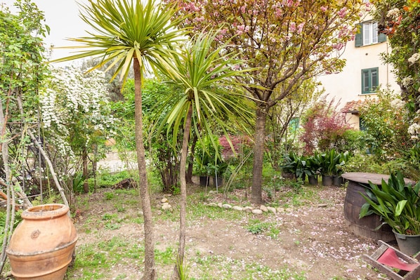 Un jardin où poussent différentes espèces de plantes, un grand pot en terre cuite et, au fond, un bâtiment surmonté d’un toit en tuiles.