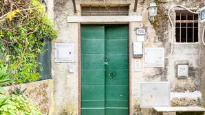 Une porte verte à deux battants, surmontée d’une petite fenêtre, avec le numéro de rue « 290 » peint sur le mur, et une boîte de raccordement portant l’inscription « VEA » sur le côté droit.