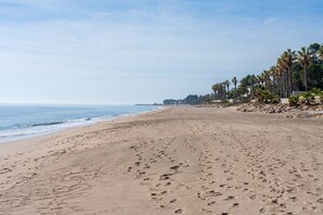 Ein weiter Sandstrand mit Fußspuren, Palmen und blauem Himmel.