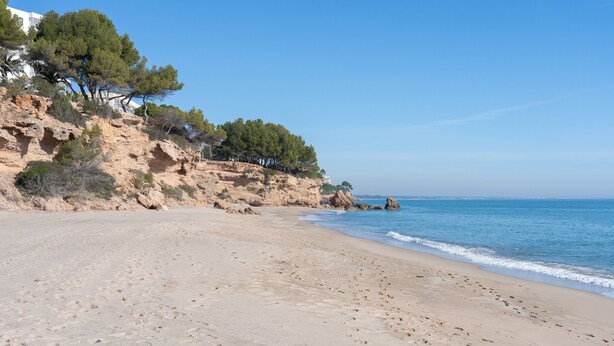 Une plage de sable parsemée d’empreintes, une falaise rocheuse bordée d’arbres, et l’océan en arrière-plan.