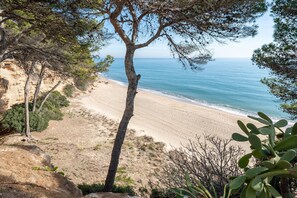 Plage à proximité