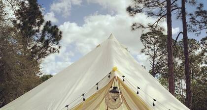 Superb campground in Clewiston