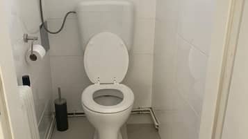 Secador de pelo, toallas, jabón, shampoo