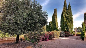 A landscaped garden with a gravel path, various shrubs, and tall cypress trees. - Amazing home in Violes (Violes)