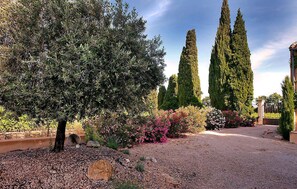 Property grounds - Amazing home in Violes (Violes)