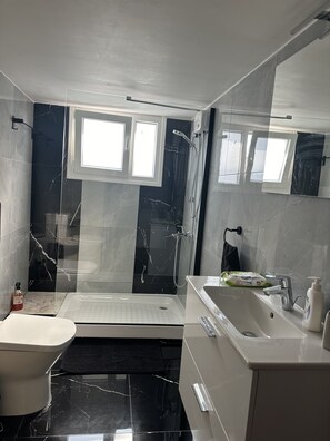 Chuveiro, secador de cabelo, toalhas de banho, sabonete