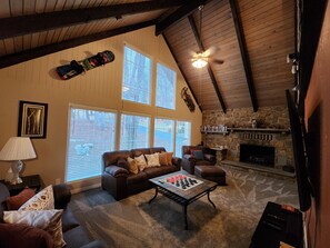 TV connectée, cheminée, lecteur de DVD, livres