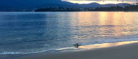 海滩
