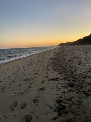 A beach with footprints and seaweed, extending to a forested area.
