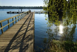A wooden pier extending into calm water, surrounded by greenery and trees.