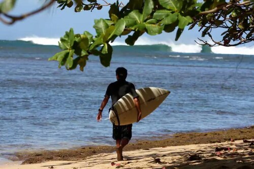 Cozy studio in welcoming Princeville with WiFi