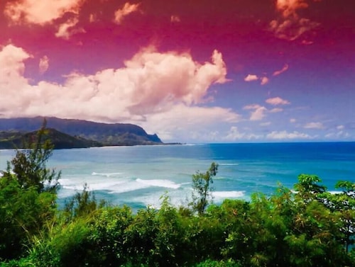 Cozy studio in welcoming Princeville with WiFi