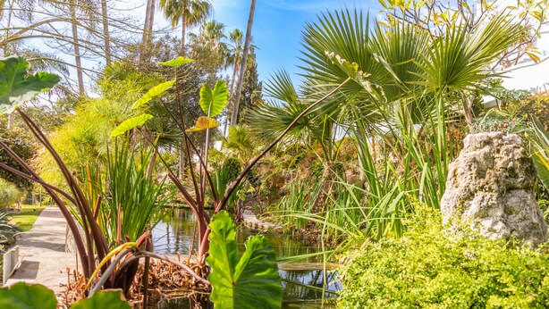 A tropical garden with a pond, various plants, and a stone structure. - Tetuan 7 - El Oasis de Capistrano! (Nerja)