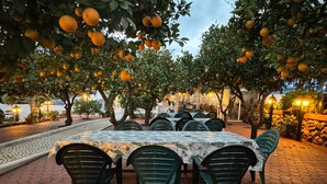 An outdoor dining area with a table covered in a patterned tablecloth, surrounded by green chairs, under trees bearing oranges.