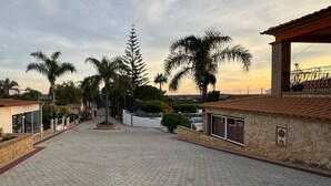 A paved walkway flanked by palm trees and buildings with a mural of a parrot.