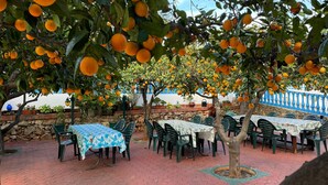 Un espace extérieur aménagé avec des tables et des chaises, entouré d’orangers chargés de fruits.