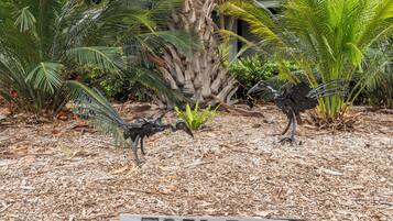 Entrada al alojamiento