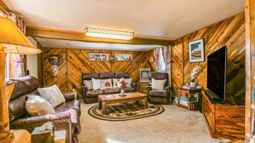 Télévision, cheminée