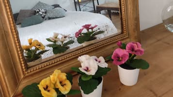 1 slaapkamer