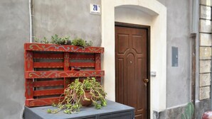 Een deur met een nummerbord, een potplant en een decoratieve houten plank met planten.