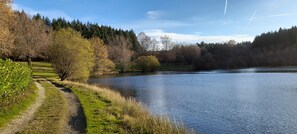 A tranquil lakeside path with a clear view of the water and surrounding trees.