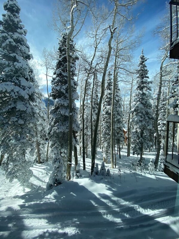 Property grounds - Eagle Point Ski Resort Nº9 Wooded Ridge Condos (Beaver)