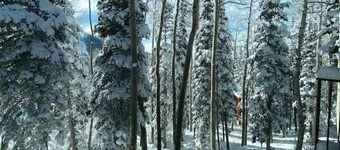 Eagle Point Ski Resort Nº9 Wooded Ridge Condos