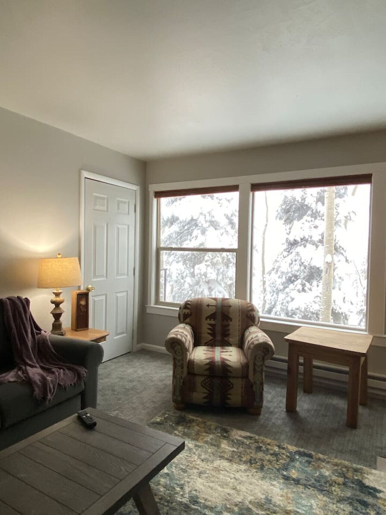 TV, fireplace, books