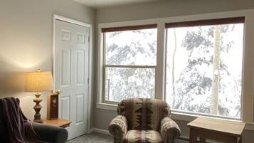 TV, fireplace, books