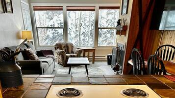 TV, fireplace, books