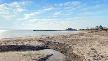 Playa en los alrededores y pesca