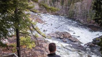 Une rivière avec des rochers et des arbres en arrière-plan.