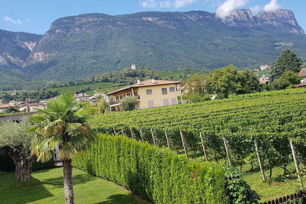 Herrliche Aussicht von der Ferienwohnung Weinduft