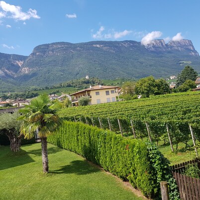 Apartment Weinduft (vine aromic) mountains beautyfull landscape