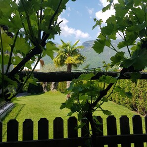 Property grounds - Apartment Weinduft (vine aromic) mountains beautyfull landscape (Appiano)