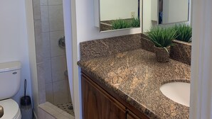 Un bagno con doccia, WC, piano di lavoro in granito, mobili in legno e un grande specchio.