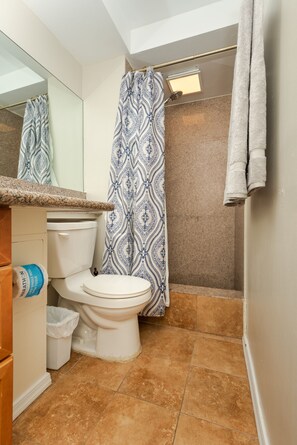 Shower, hair dryer