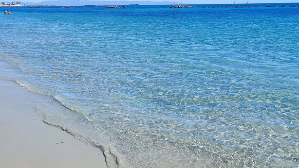 A beach with clear water and a sandy shore. - Villa 100 steps from the beach (CIN It092066C2000R5478) (Sardegna)