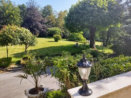 Um jardim com gramado, árvores e um poste de luz.