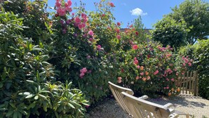 Un giardino con una panchina di legno, vegetazione fitta e una varietà di fiori.