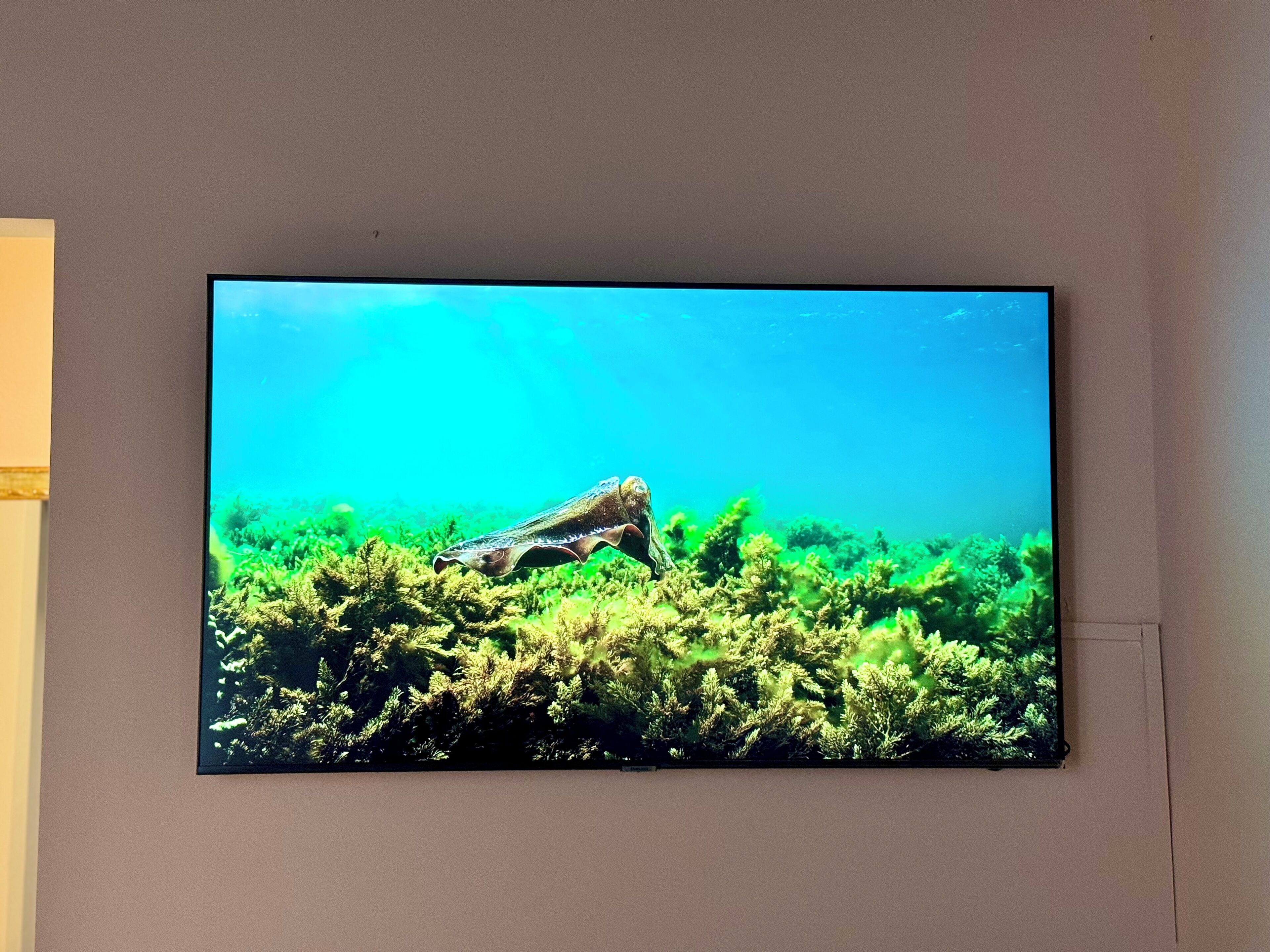 Photo - First Dream Venice